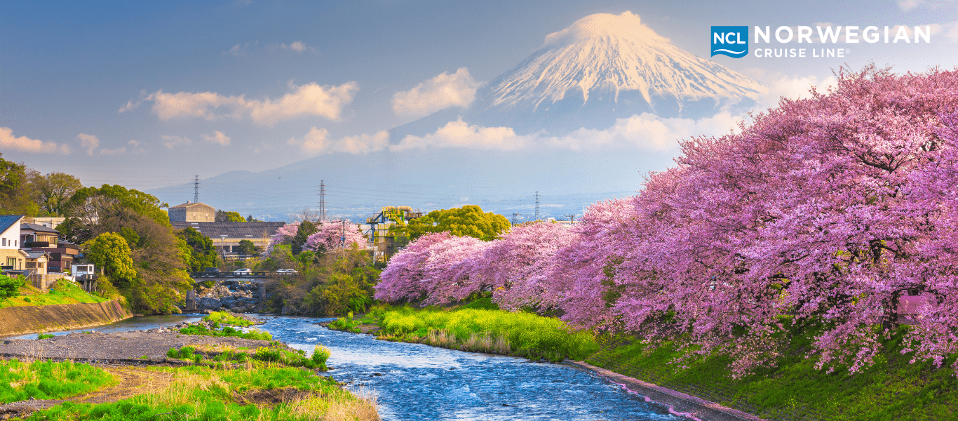 Asia: Osaka, Kochi, Jeju & Mt. Fuji